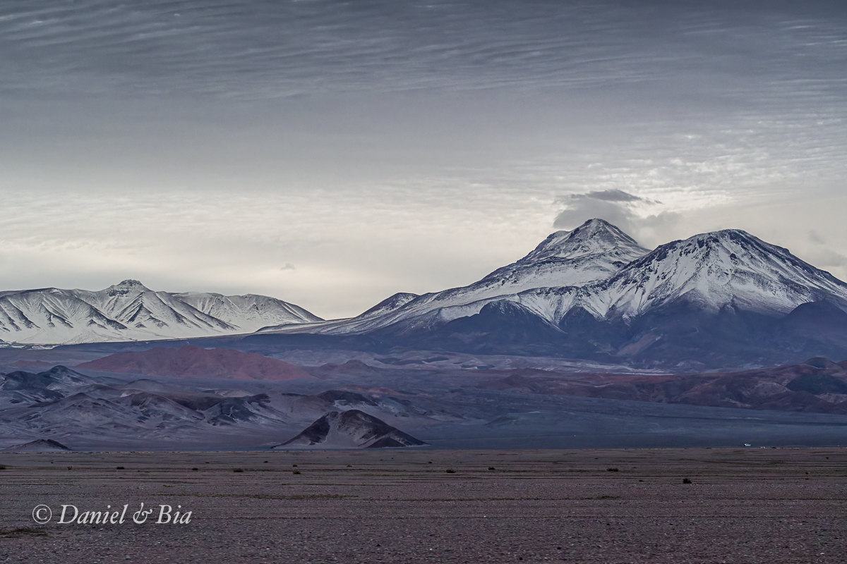 Laguna Chaxa, San Pedro do Atacama, Chile, 17/08/2026. Foto Daniel e Bia.