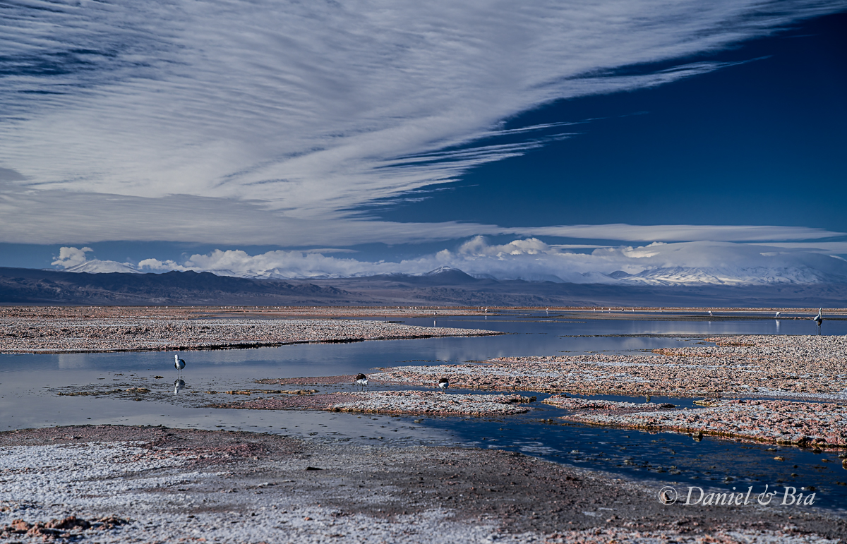 Laguna Chaxa, San Pedro do Atacama, Chile, 17/08/2026. Foto Daniel e Bia.