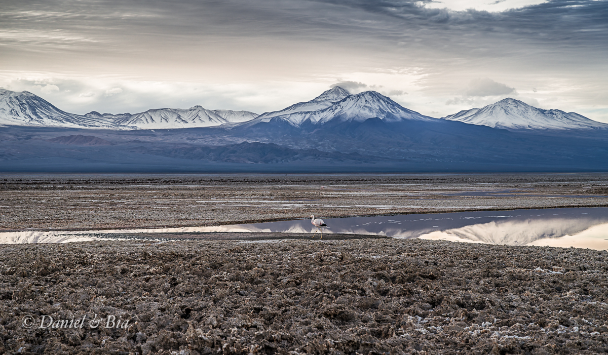 Laguna Chaxa, San Pedro do Atacama, Chile, 17/08/2026. Foto Daniel e Bia.