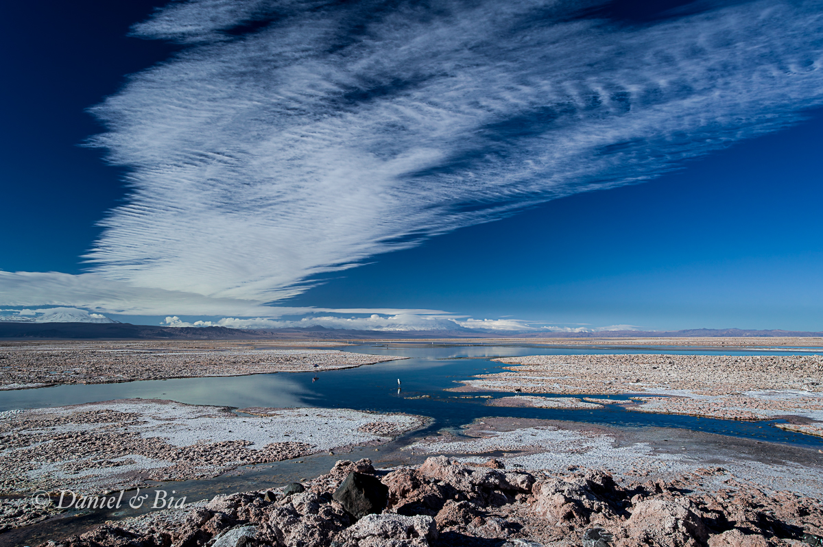 Laguna Chaxa, San Pedro do Atacama, Chile, 17/08/2026. Foto Daniel e Bia.
