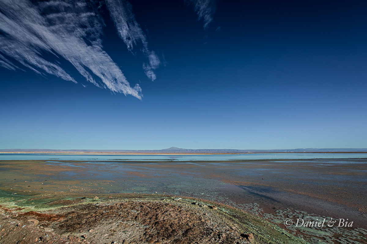 Laguna Chaxa, San Pedro do Atacama, Chile, 17/08/2026. Foto Daniel e Bia.