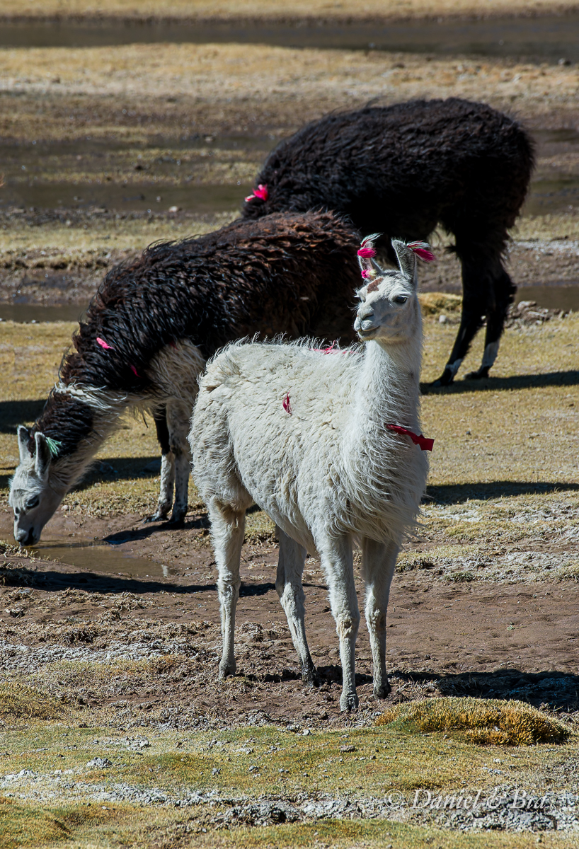 Cânion de Sora, Bolívia, 20/08/2026. Foto Daniel e Bia.