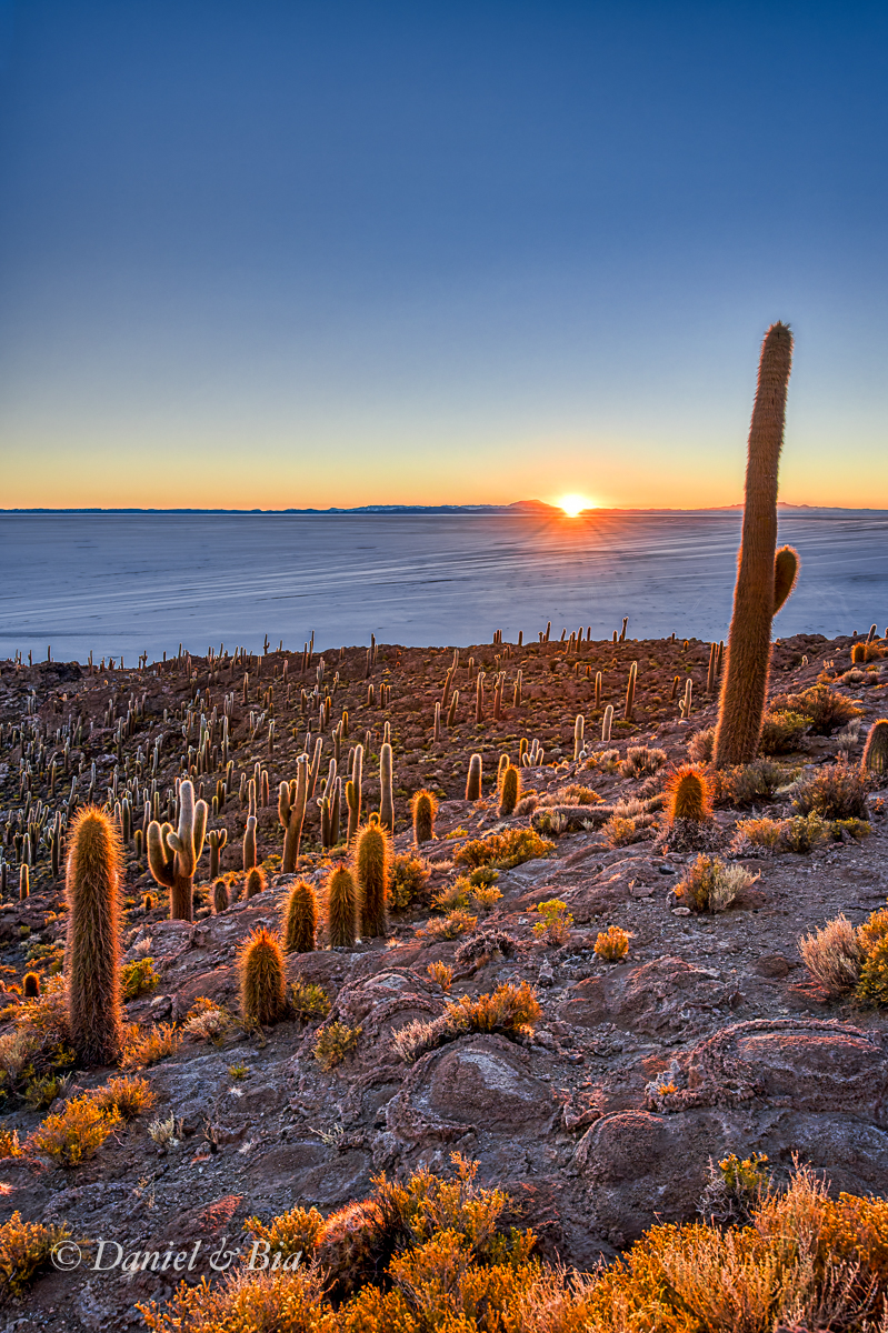 Isla Incahuasi (Pescadores), Salar Uyuni, Bolívia, 21/08/2026. Foto Daniel e Bia.