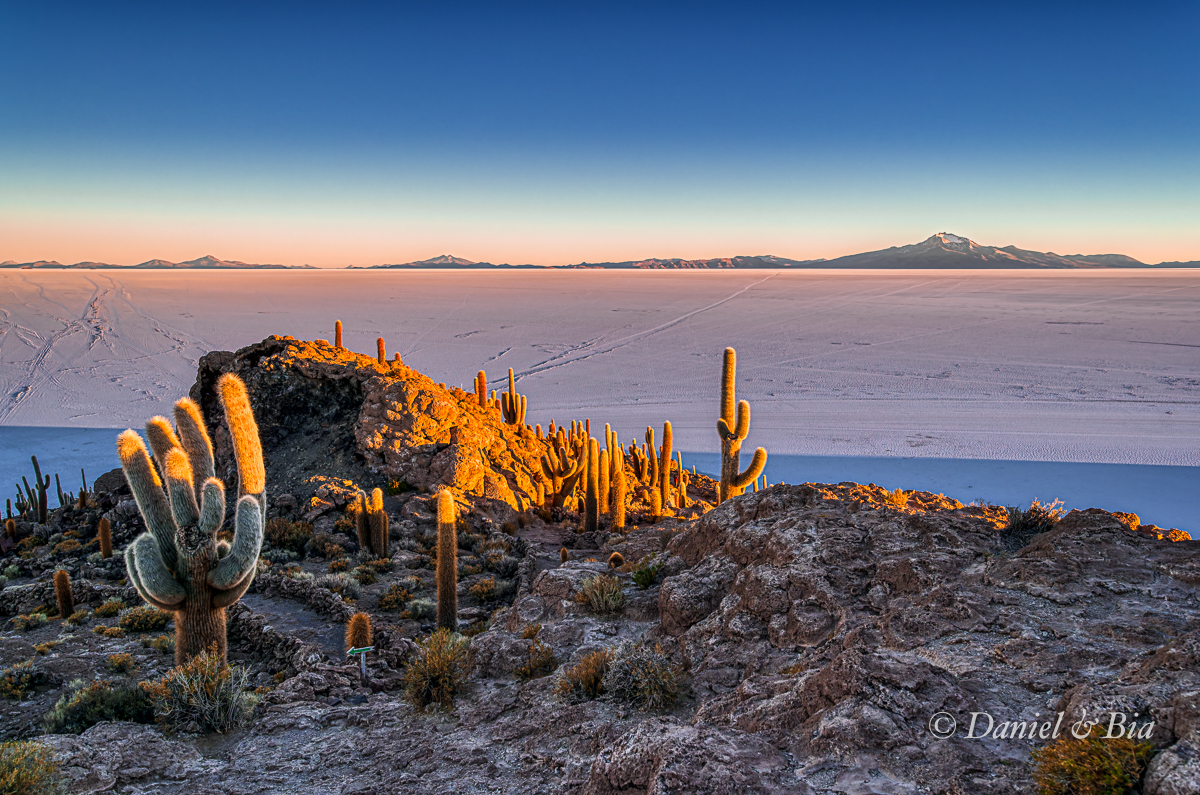 Isla Incahuasi (Pescadores), Salar Uyuni, Bolívia, 21/08/2026. Foto Daniel e Bia.