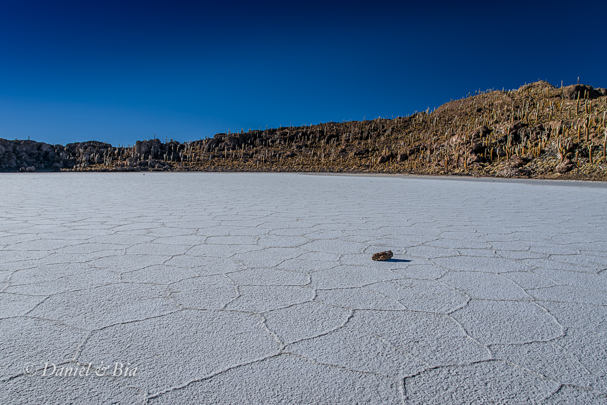 Isla Incahuasi (Pescadores), Salar Uyuni, Bolívia, 21/08/2026. Foto Daniel e Bia.