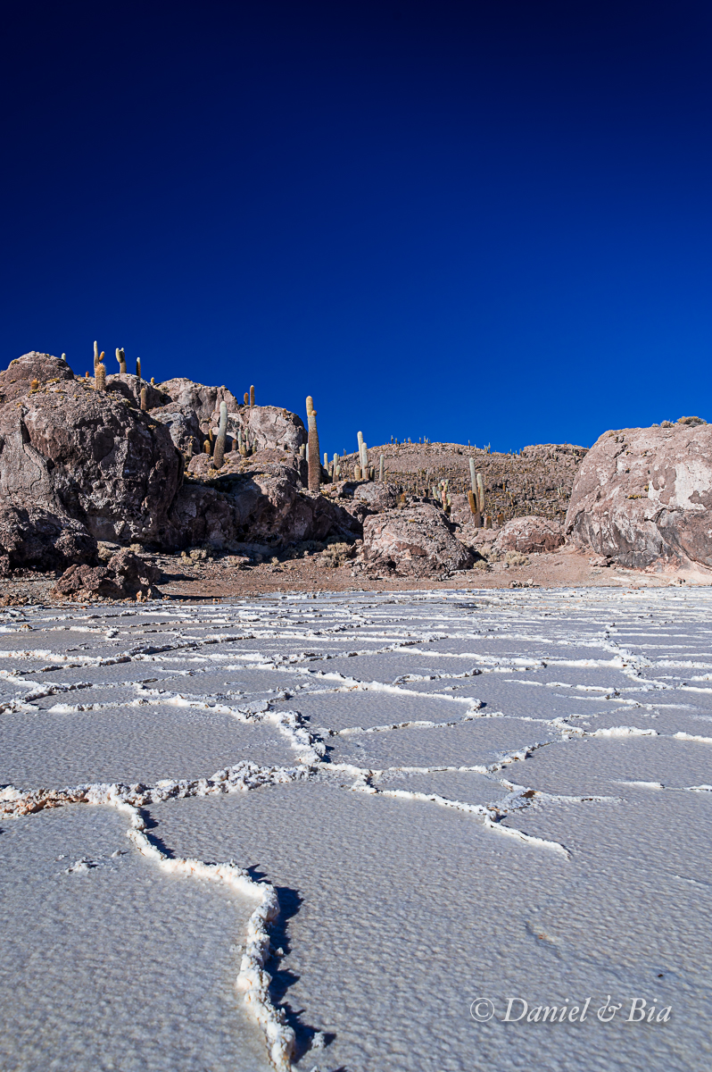 Isla Incahuasi (Pescadores), Salar Uyuni, Bolívia, 21/08/2026. Foto Daniel e Bia.