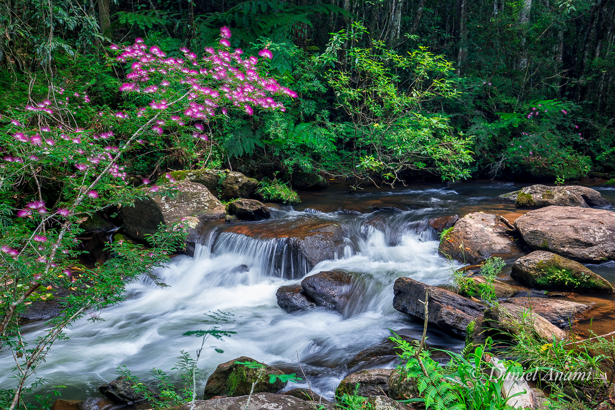 Cachoeira Deus me Livre, Aiuruoca, 30/12/2018. Foto Daniel Anami.