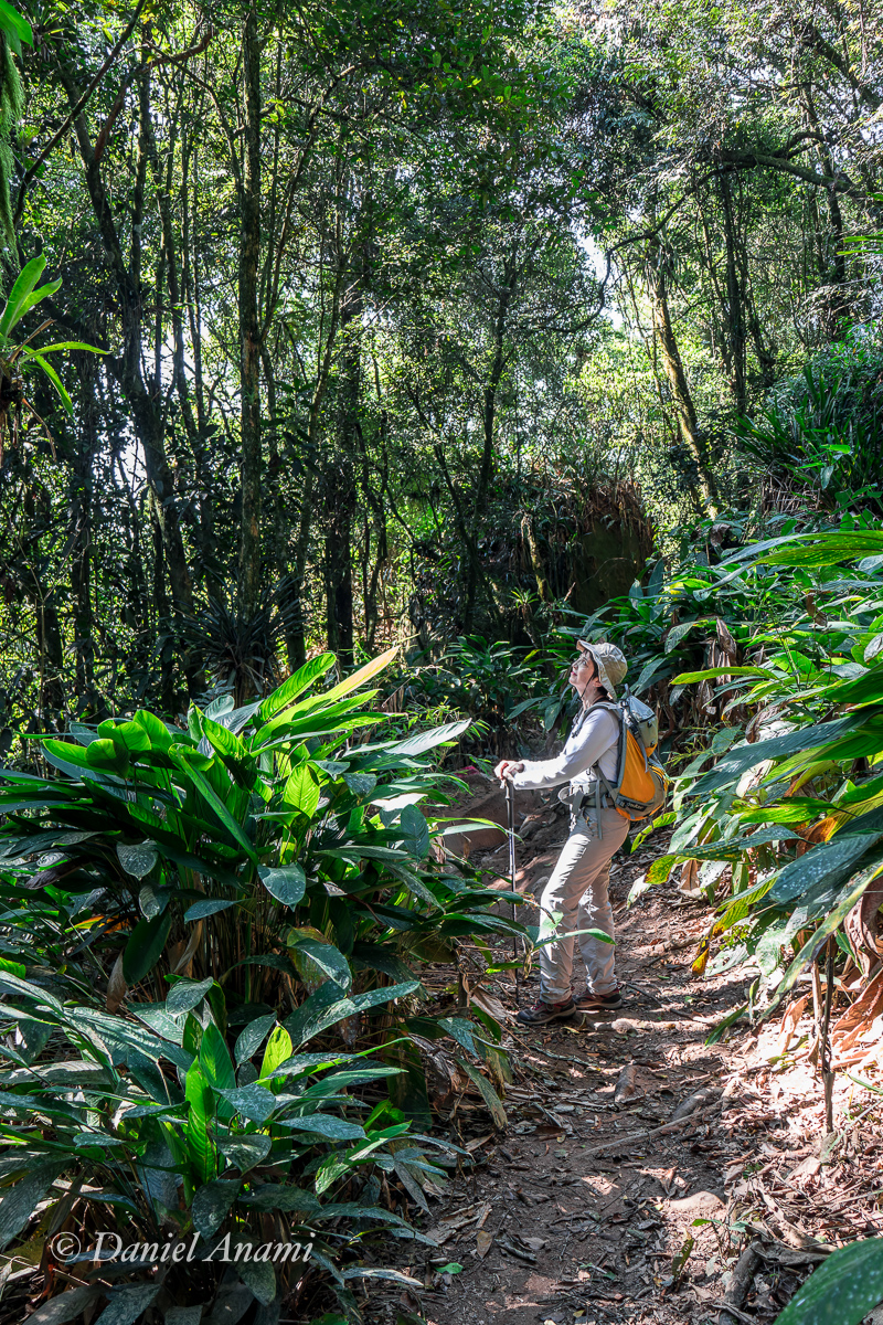 Trilha da Pedra do Elefante, Ribeirão Pires, SP, 18/05/2024. Foto Daniel Anami.