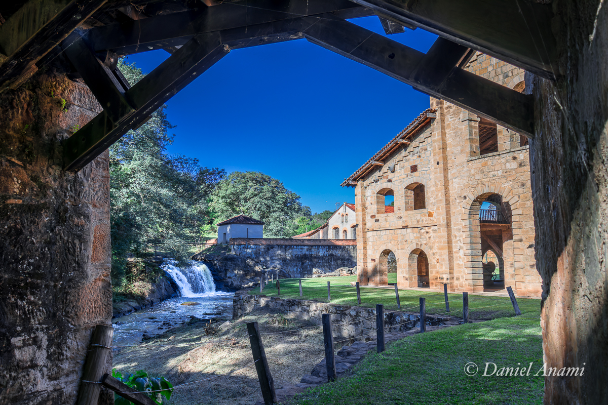 Floresta Nacional de Ipanema, Iperó, SP, 01/06/2024. Foto Daniel Anami.