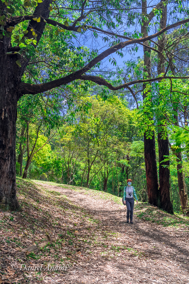 Parque Chácara Silvestre, São Bernardo do Campo, SP, 14/11/21. Foto Daniel Anami.