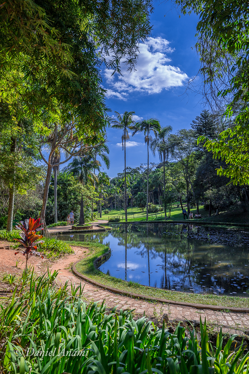 Jardim Botânico de São Paulo, 15/06/2019. Foto Daniel Anami.