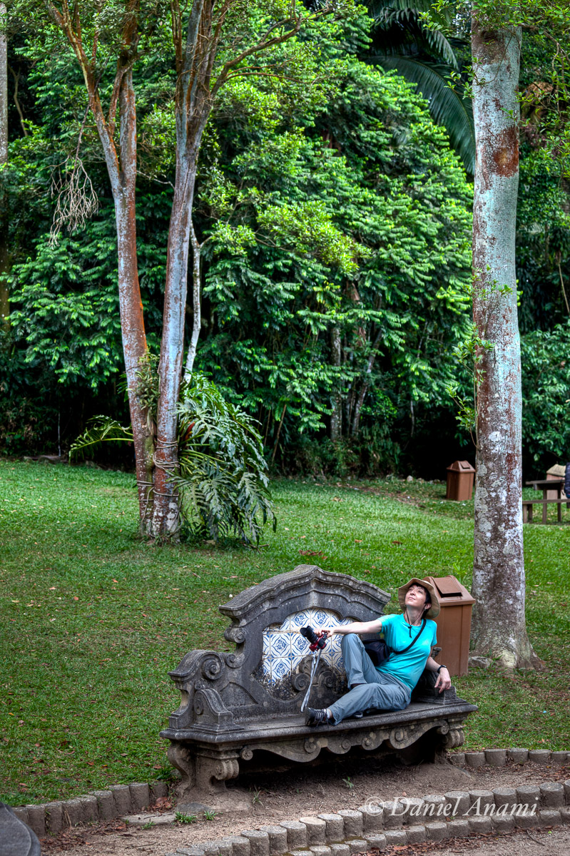 Mr. Magoo divando no Jardim Botânico de São Paulo, São Paulo, 04/01/14. Foto Daniel Anami.