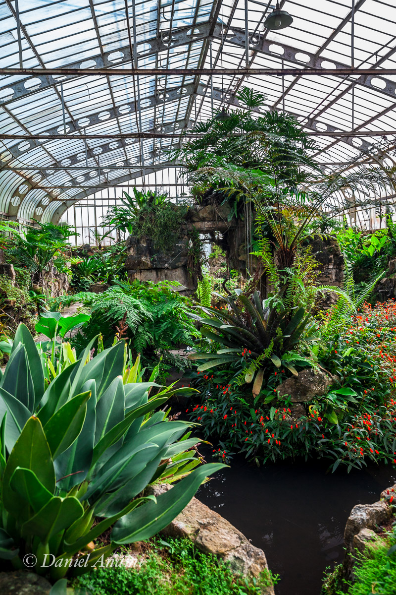 Nem só de samambaia vive a floresta. Estufa Tropical. Jardim Botânico de São Paulo, 26/05/2016. Foto Daniel Anami.