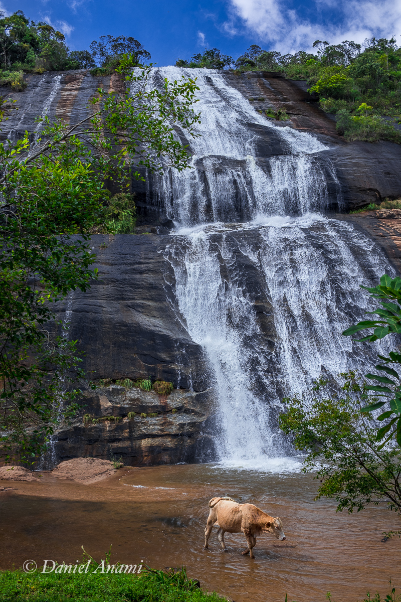Vaca Fresca, cachoeira da Estiva, Carvalhos, MG, 02/01/2019. Foto Daniel Anami.