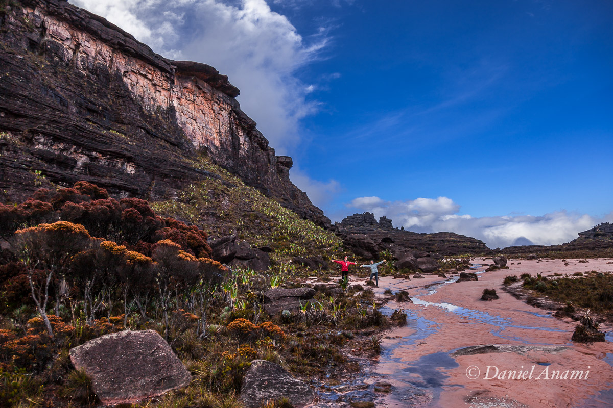 Depois de chegar ao topo, uma volta para reconhecimento. A areia salmão e as inúmeras bromélias nas encostas nos saúdam. 15/03/2016. Foto Daniel Anami.