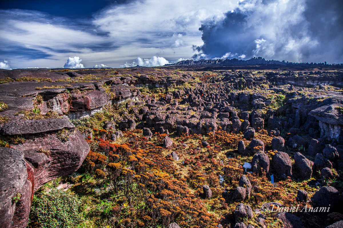 Outra cratera, ao invés de lago, uma floresta de rochas! 17/03/2016. Foto Daniel Anami.