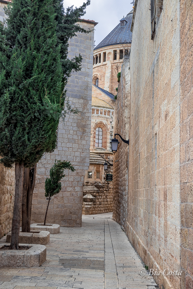 Israel, 24/02/2023. Foto Bia Costa.