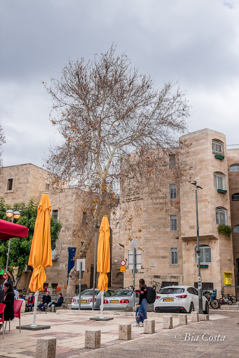 Israel, 24/02/2023. Foto Bia Costa.