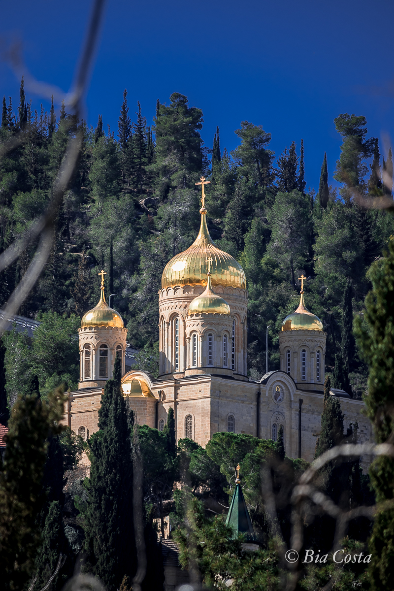 Israel, 25/02/2023. Foto Bia Costa.