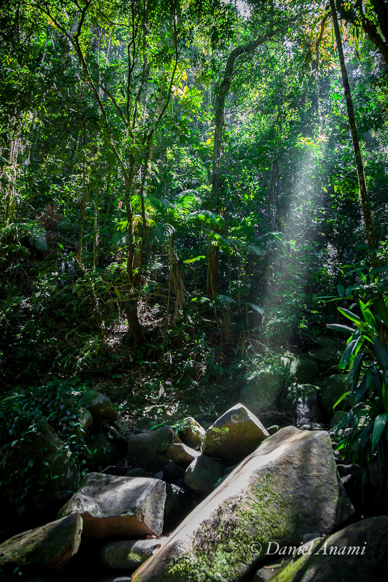 Óvni pousando em pleno dia na trilha da Praia do Sono, Laranjeiras, Paraty 31/08/15. Foto Daniel Anami.